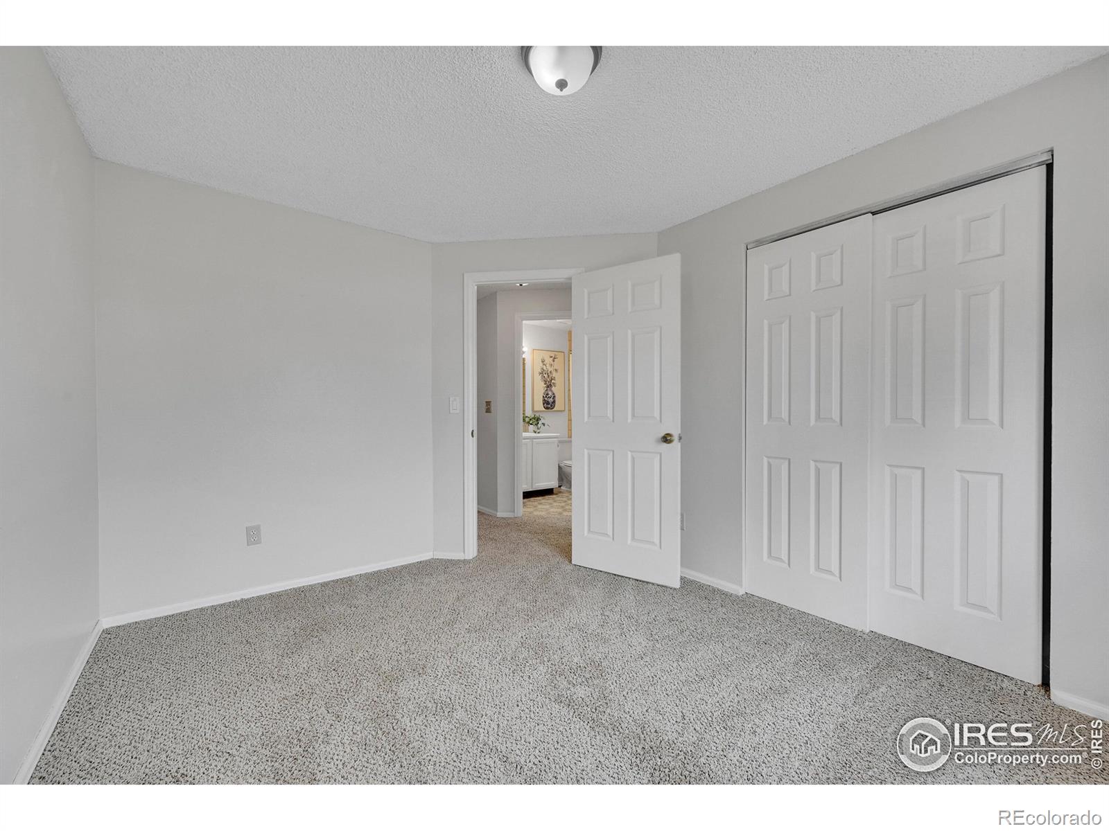 MLS Image #20 for 3107  sharps street,fort collins, Colorado