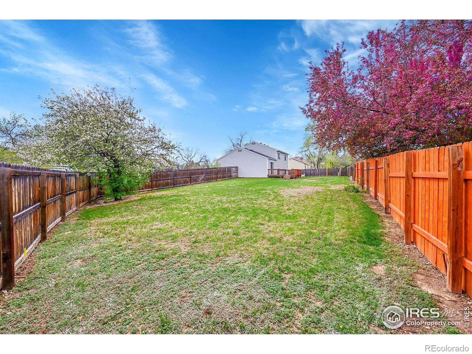 MLS Image #28 for 3107  sharps street,fort collins, Colorado