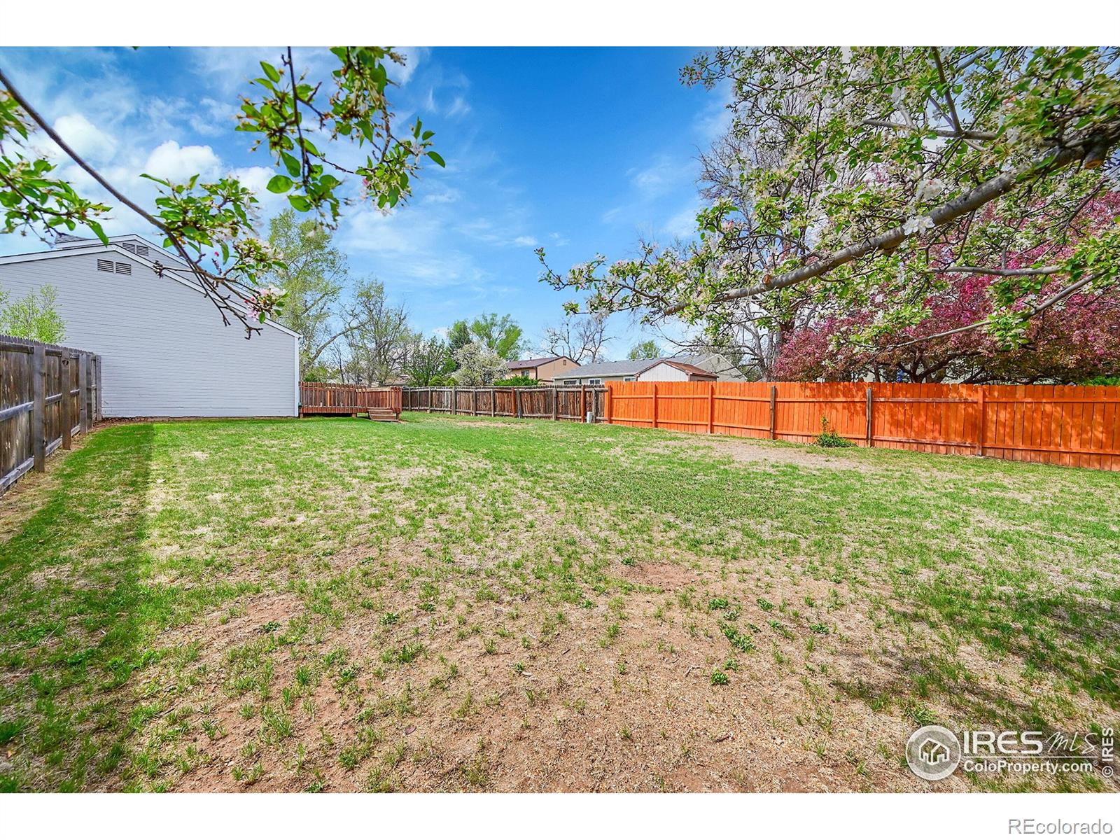 MLS Image #29 for 3107  sharps street,fort collins, Colorado