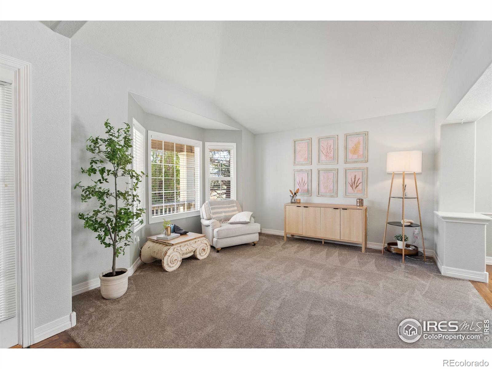 MLS Image #14 for 8356  louden circle,fort collins, Colorado