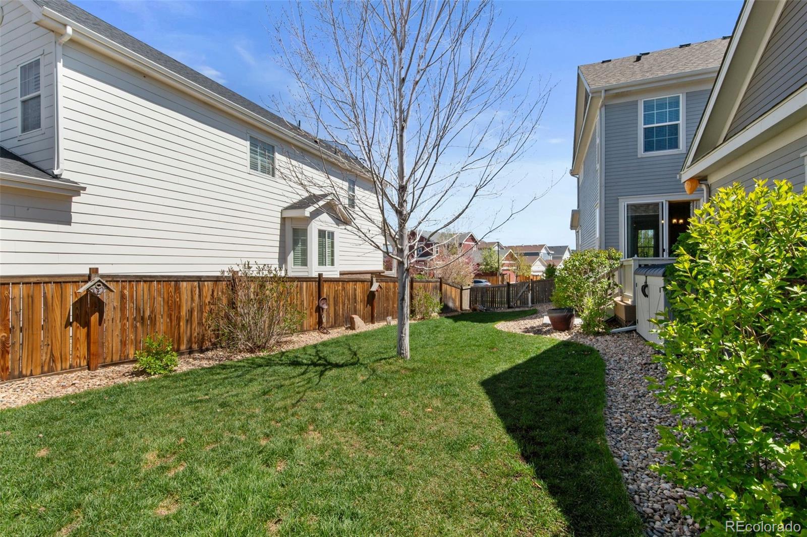 MLS Image #27 for 4401  hydrangea way,castle rock, Colorado