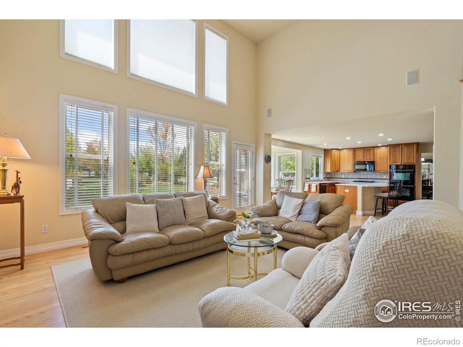 MLS Image #14 for 8319  louden circle,windsor, Colorado