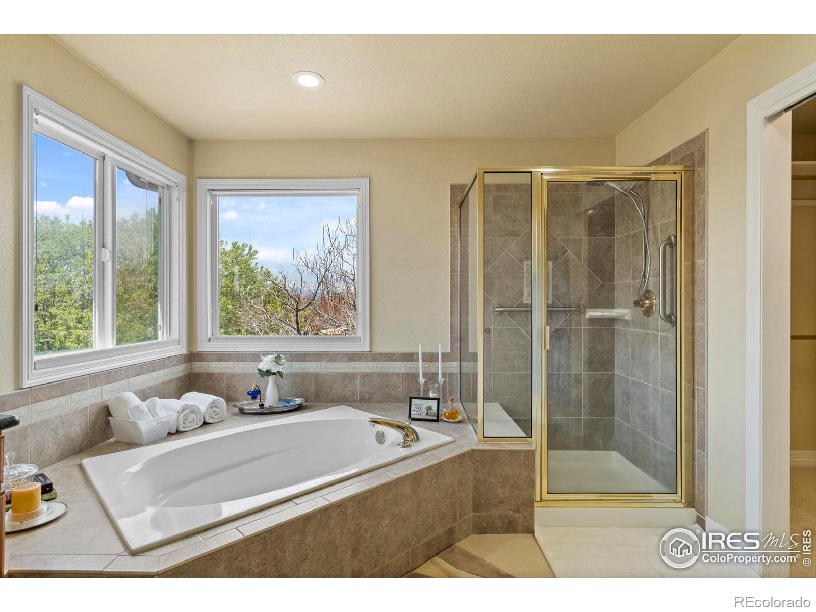 MLS Image #26 for 8319  louden circle,windsor, Colorado