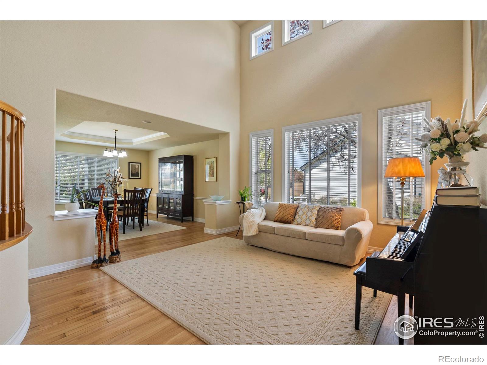 MLS Image #8 for 8319  louden circle,windsor, Colorado