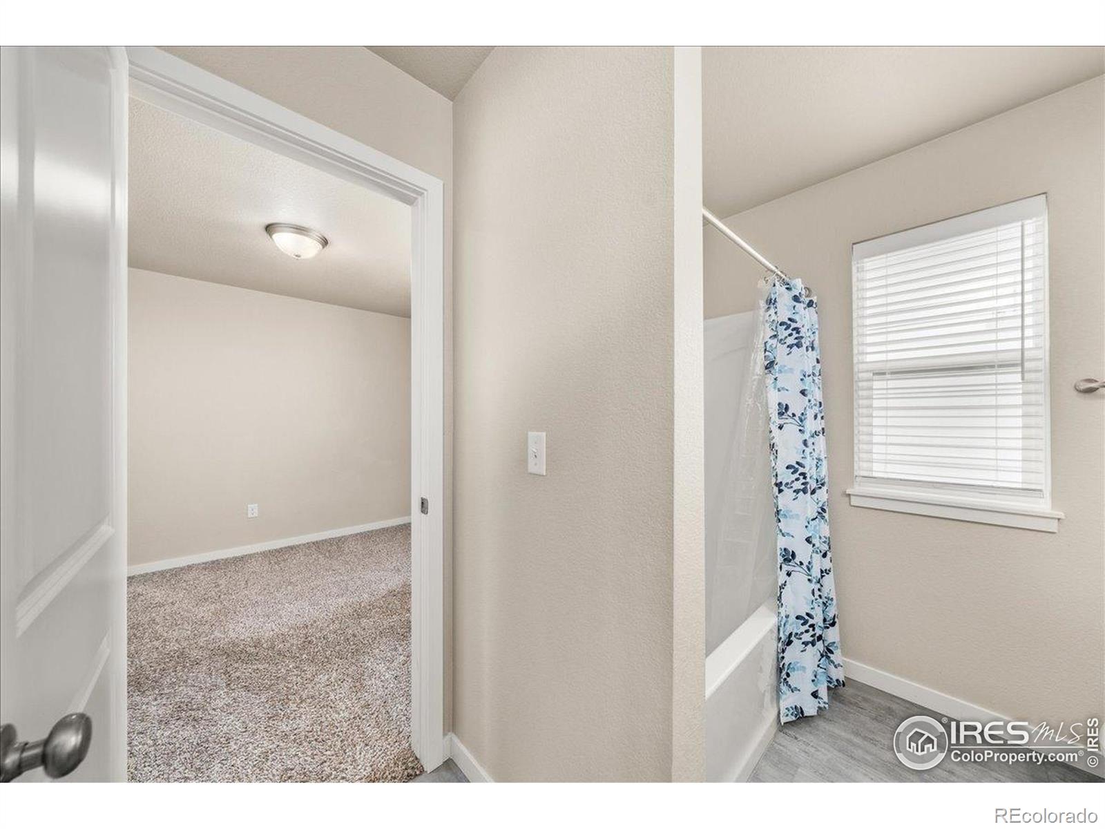 MLS Image #19 for 3214  san carlo avenue,evans, Colorado