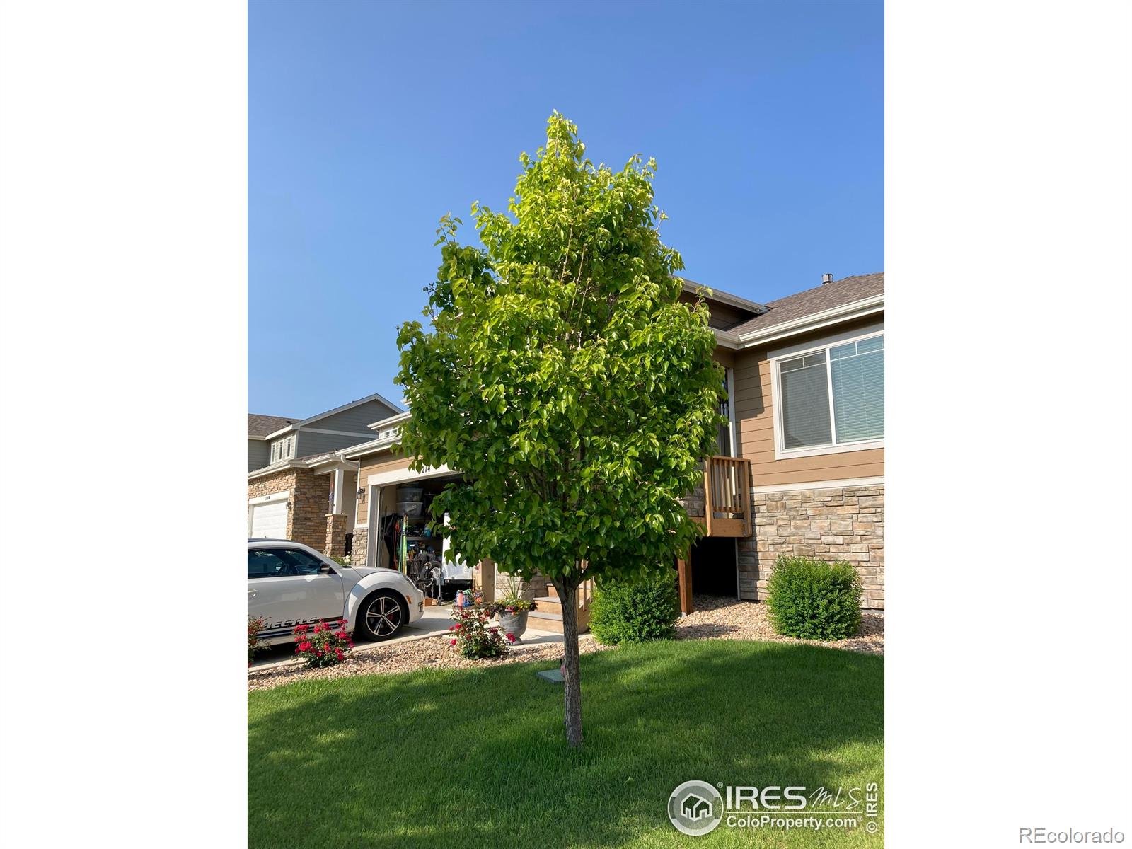 MLS Image #29 for 3214  san carlo avenue,evans, Colorado