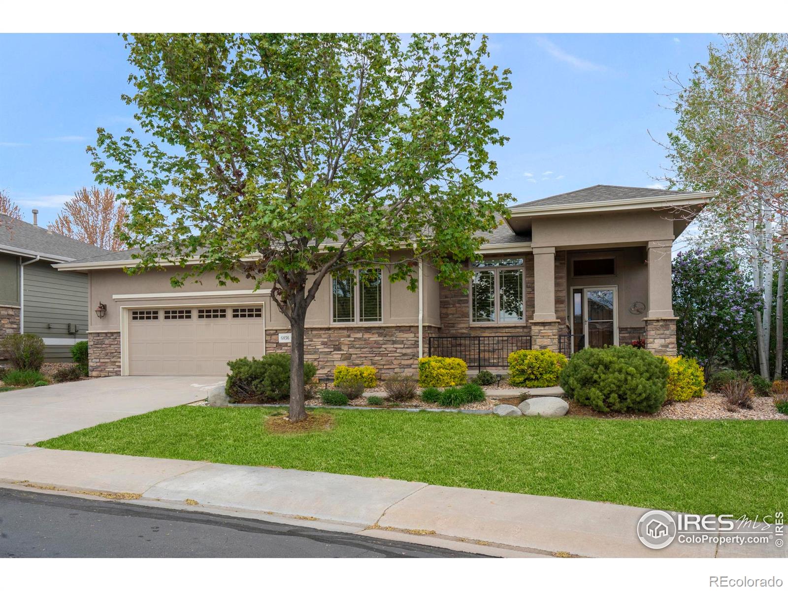 MLS Image #0 for 6836  spanish bay drive,windsor, Colorado