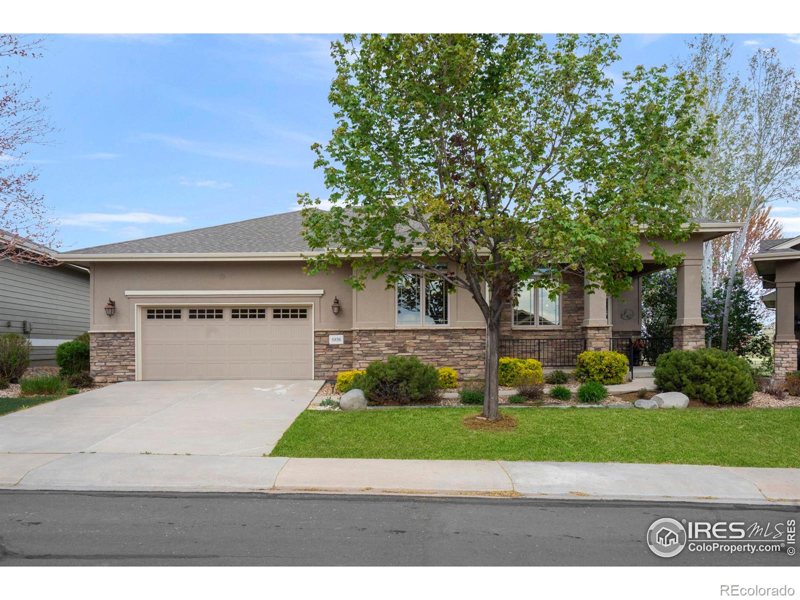 MLS Image #3 for 6836  spanish bay drive,windsor, Colorado