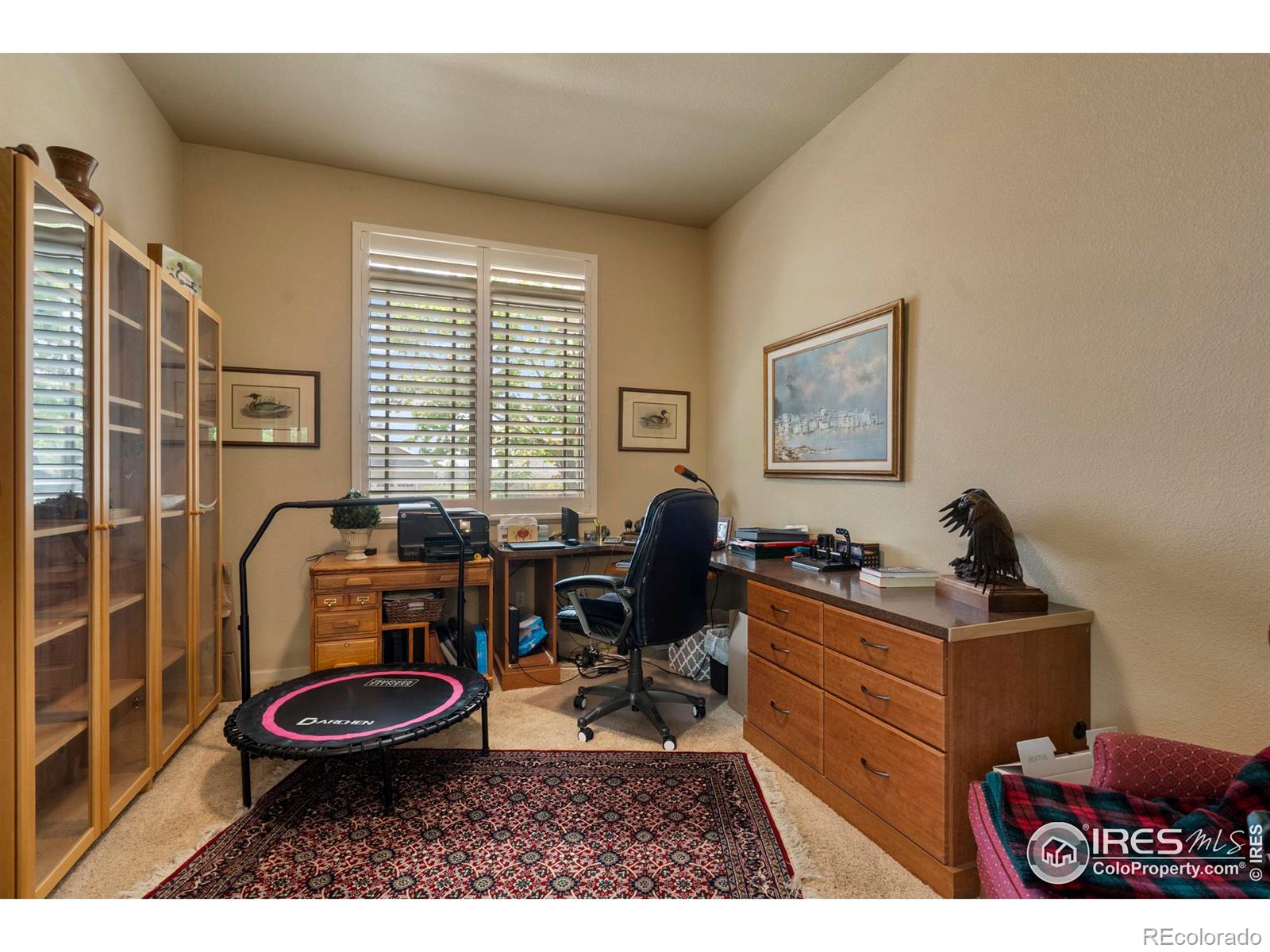 MLS Image #6 for 6836  spanish bay drive,windsor, Colorado