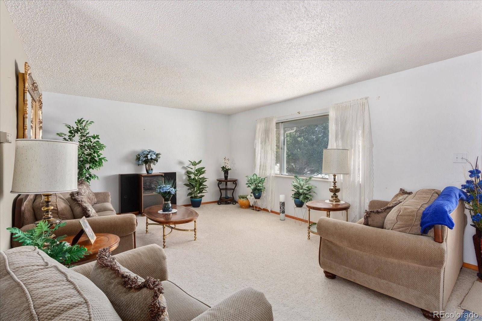MLS Image #19 for 1405  k street,salida, Colorado