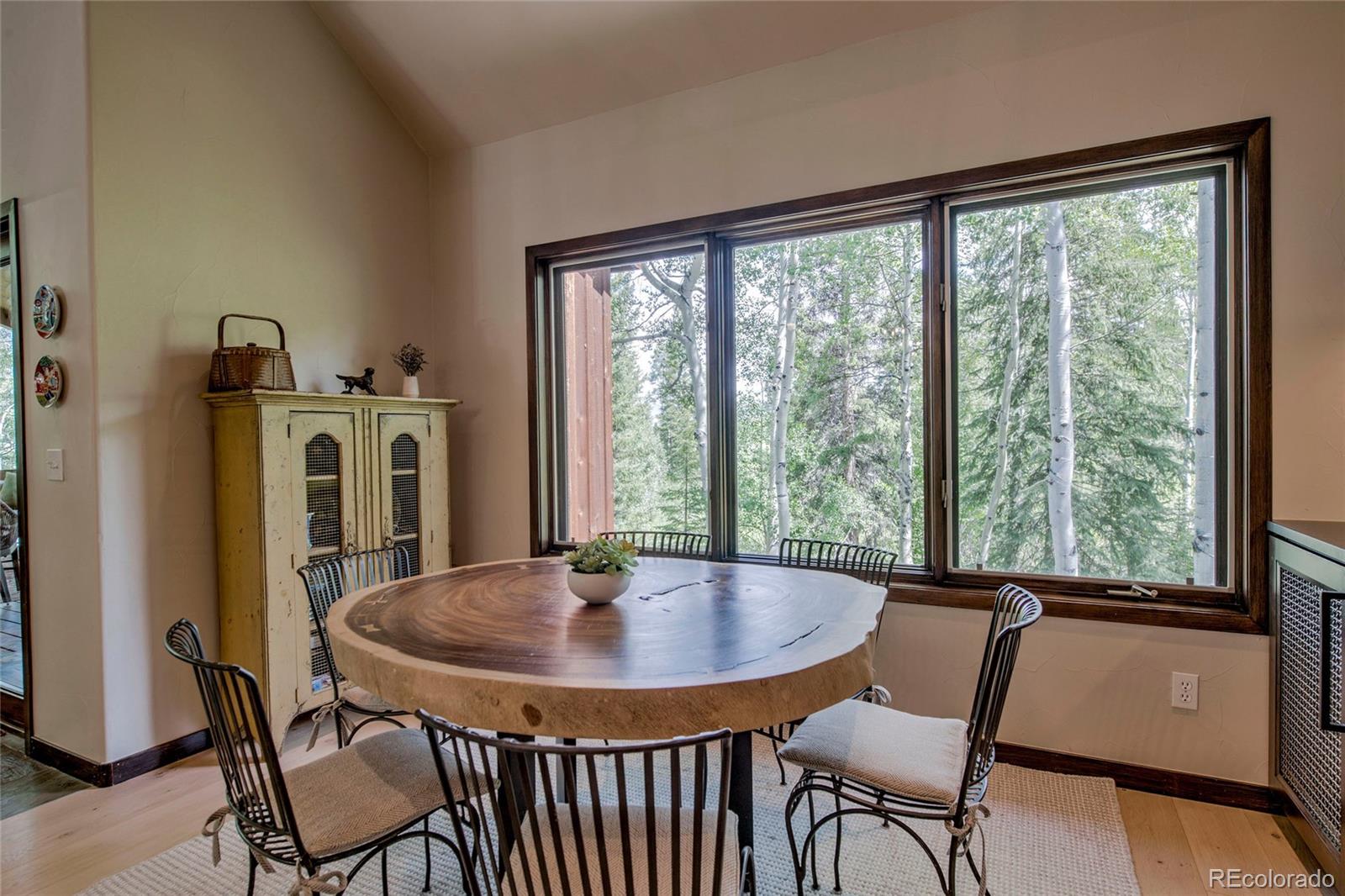 MLS Image #11 for 274  pearl lane,silverthorne, Colorado