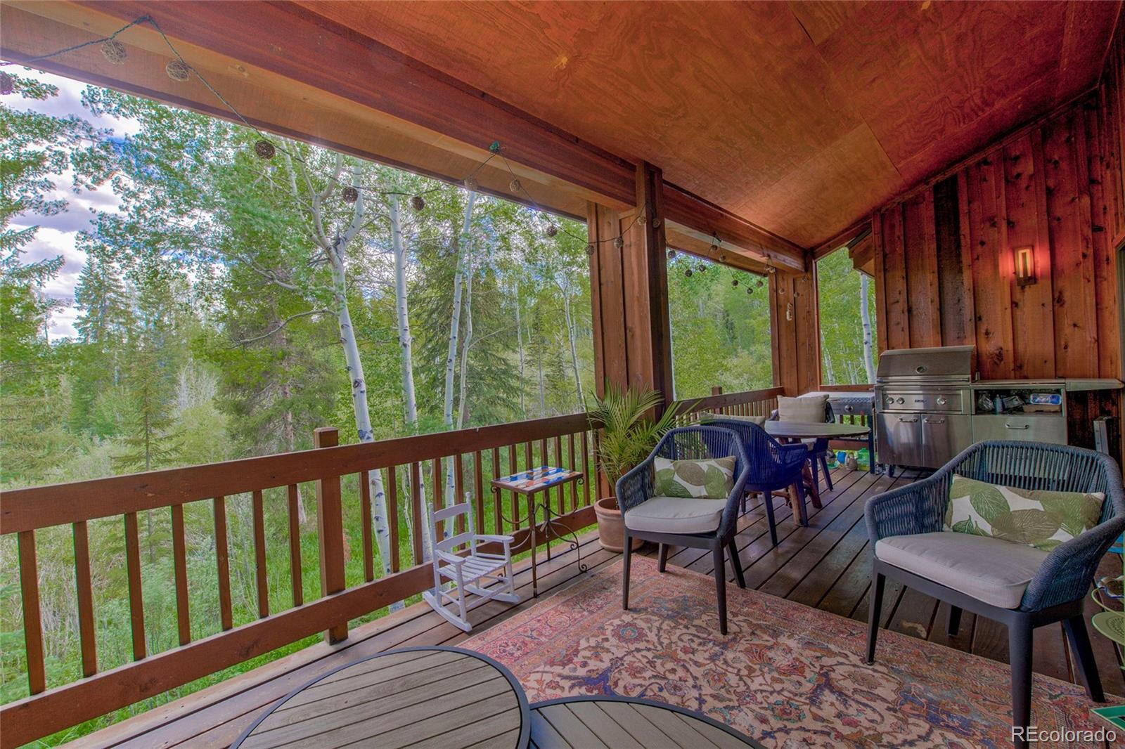 MLS Image #39 for 274  pearl lane,silverthorne, Colorado