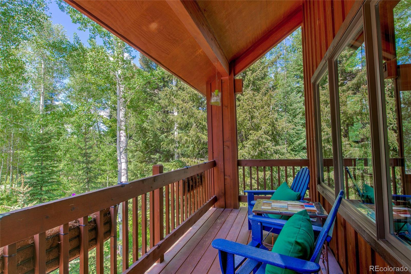 MLS Image #41 for 274  pearl lane,silverthorne, Colorado
