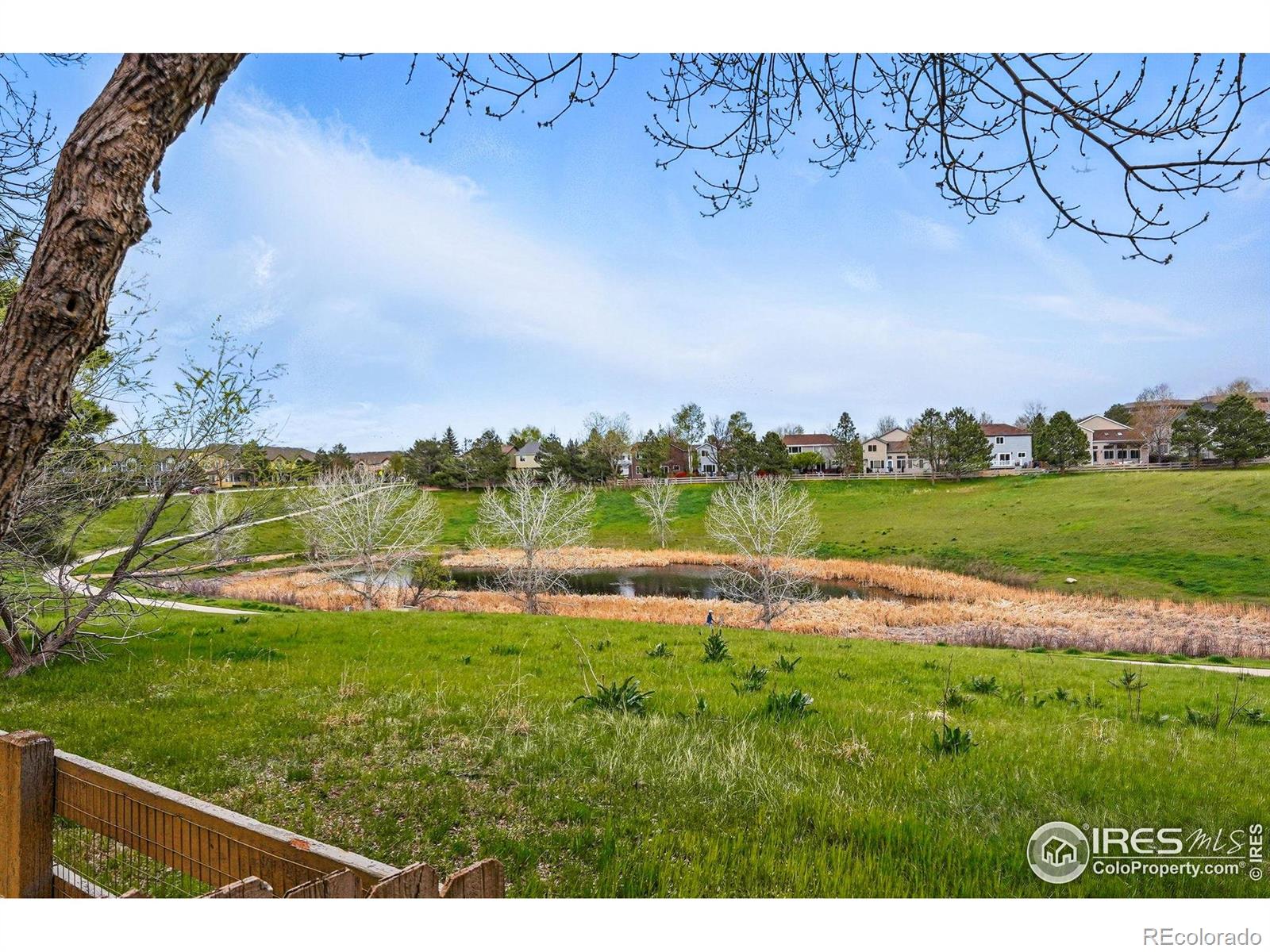 MLS Image #31 for 2926  castle peak avenue,superior, Colorado