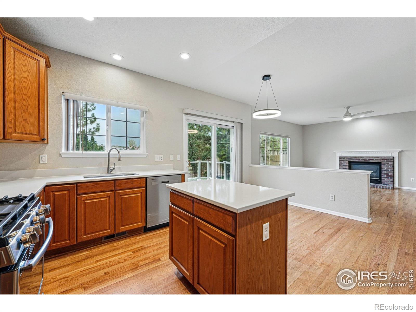 MLS Image #8 for 2926  castle peak avenue,superior, Colorado