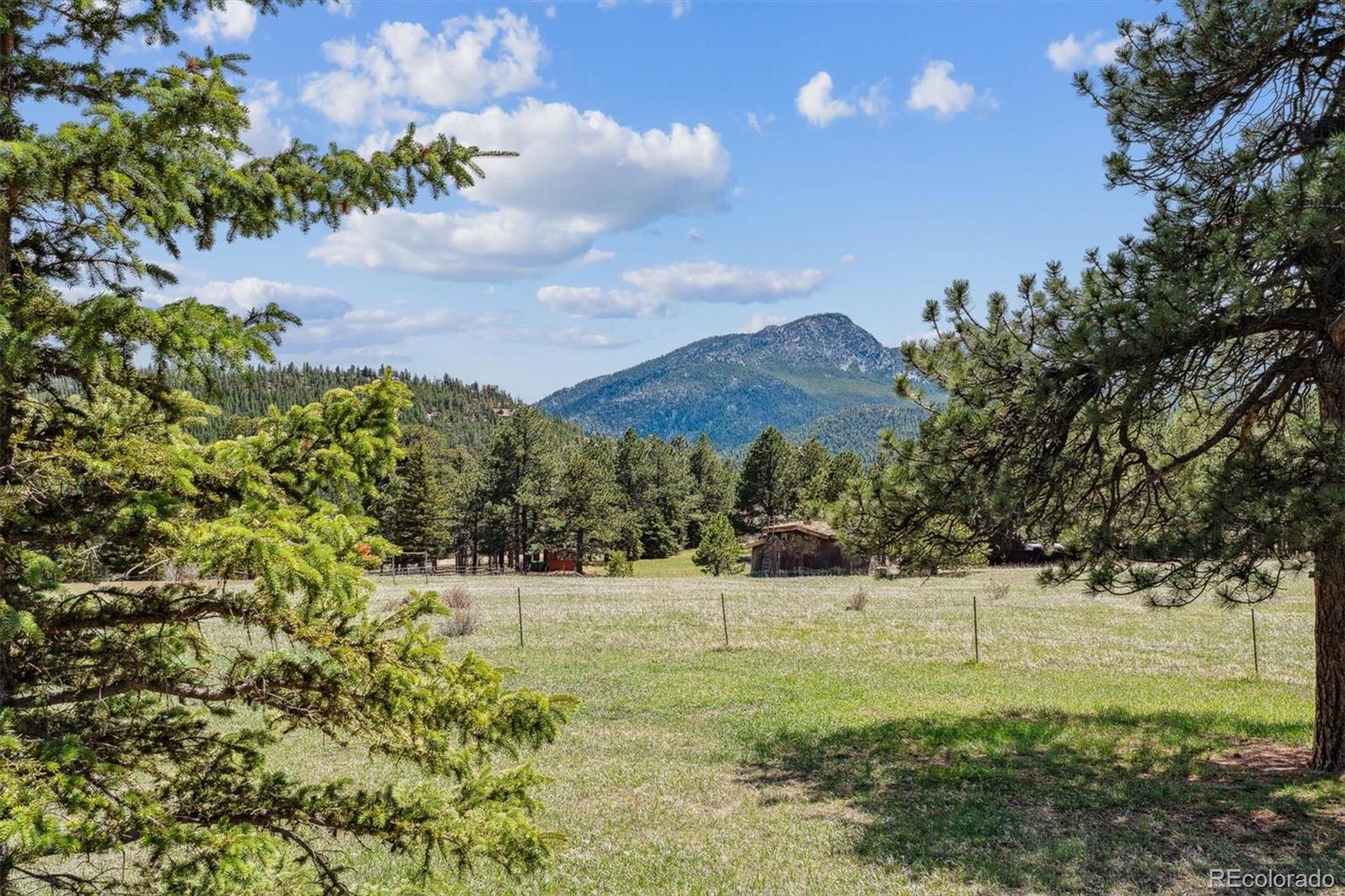 MLS Image #43 for 30651  hollings way,golden, Colorado