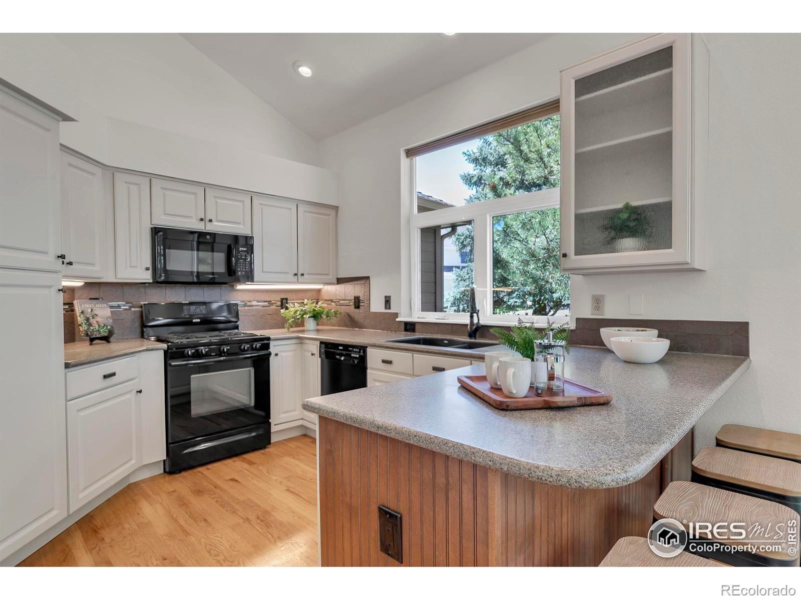 MLS Image #11 for 100  springs cove,louisville, Colorado