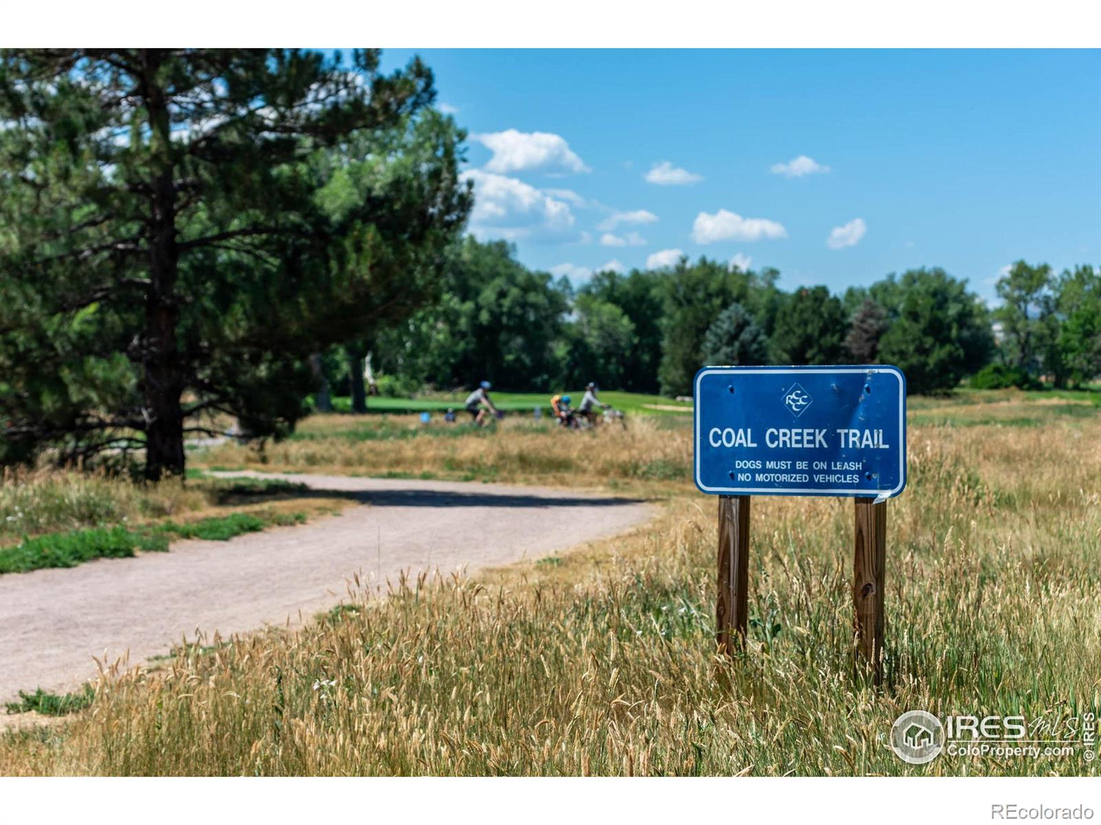 MLS Image #33 for 100  springs cove,louisville, Colorado