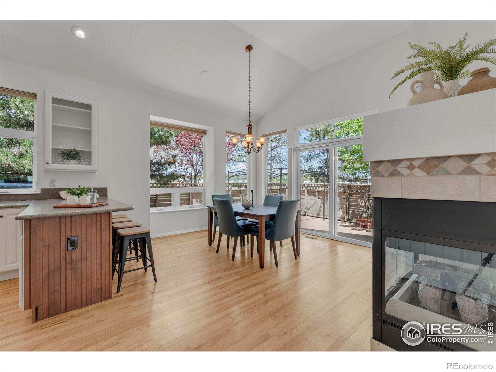 MLS Image #8 for 100  springs cove,louisville, Colorado