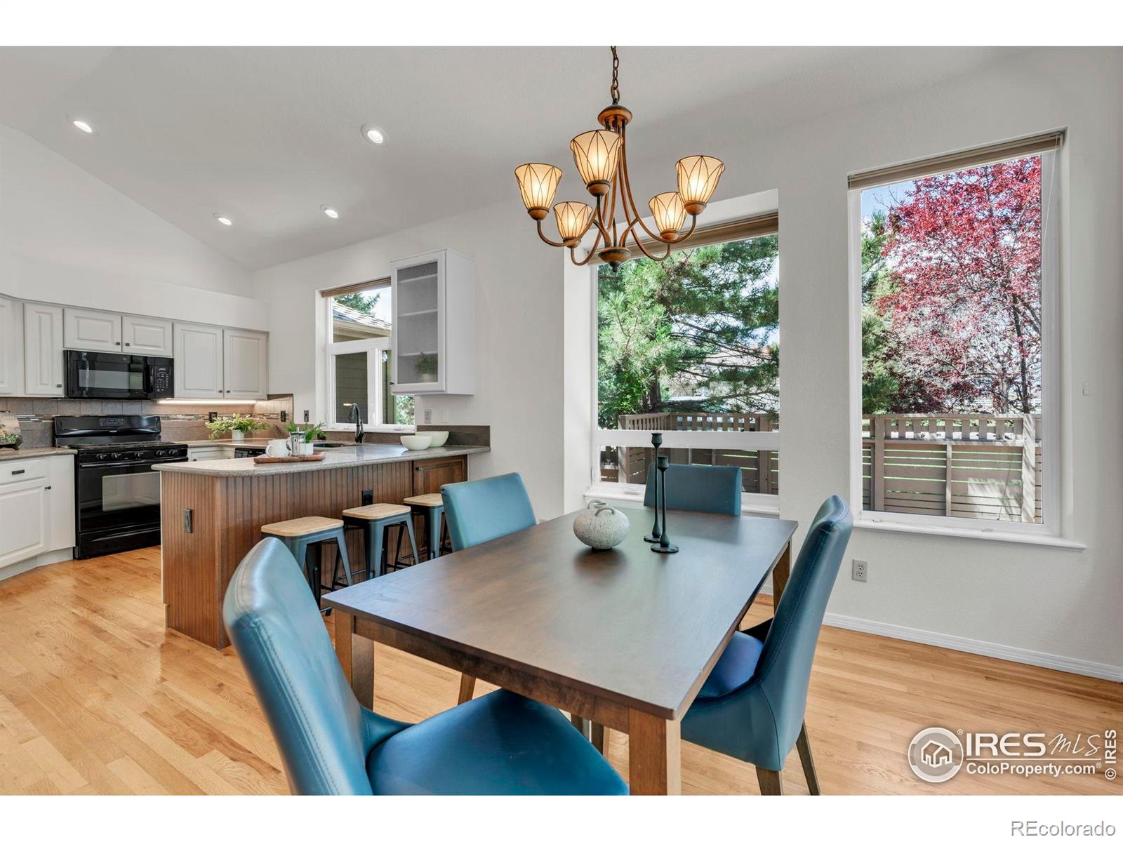 MLS Image #9 for 100  springs cove,louisville, Colorado