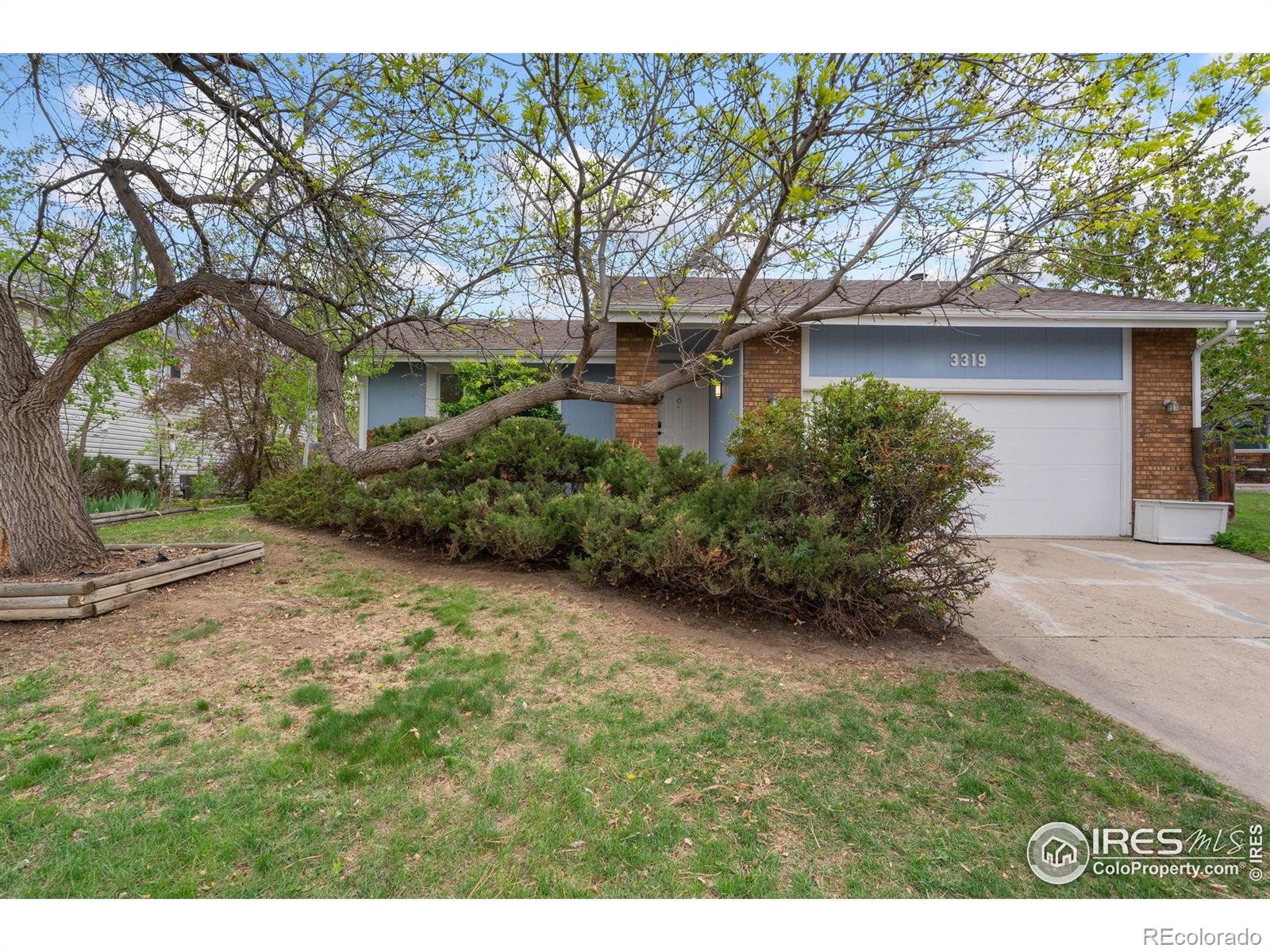 MLS Image #1 for 3319  pepperwood lane,fort collins, Colorado