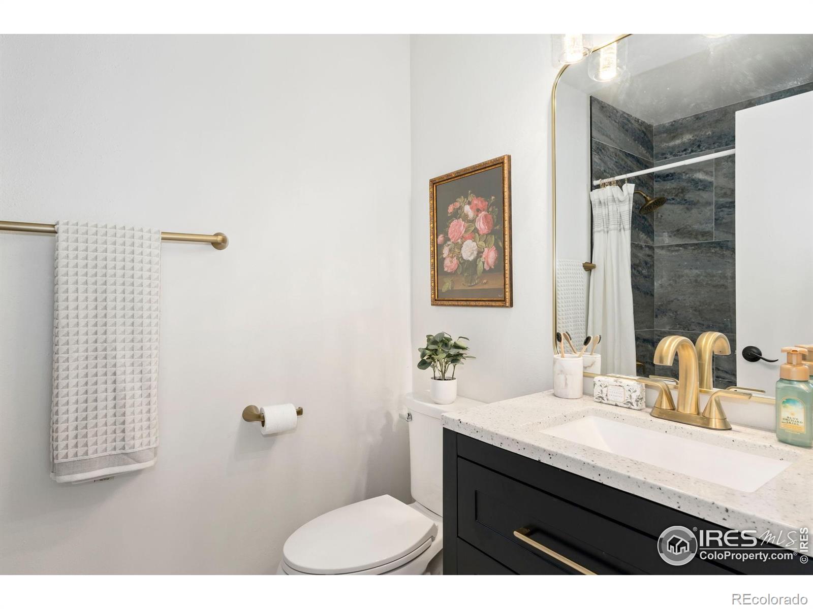 MLS Image #14 for 3319  pepperwood lane,fort collins, Colorado