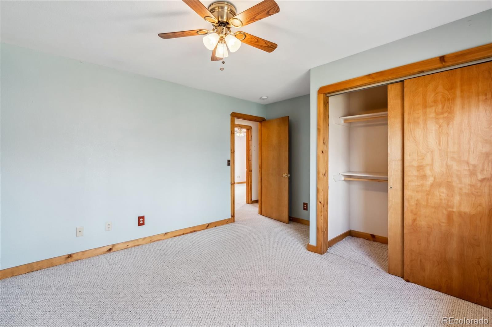 MLS Image #10 for 316  3rd ,fairplay, Colorado