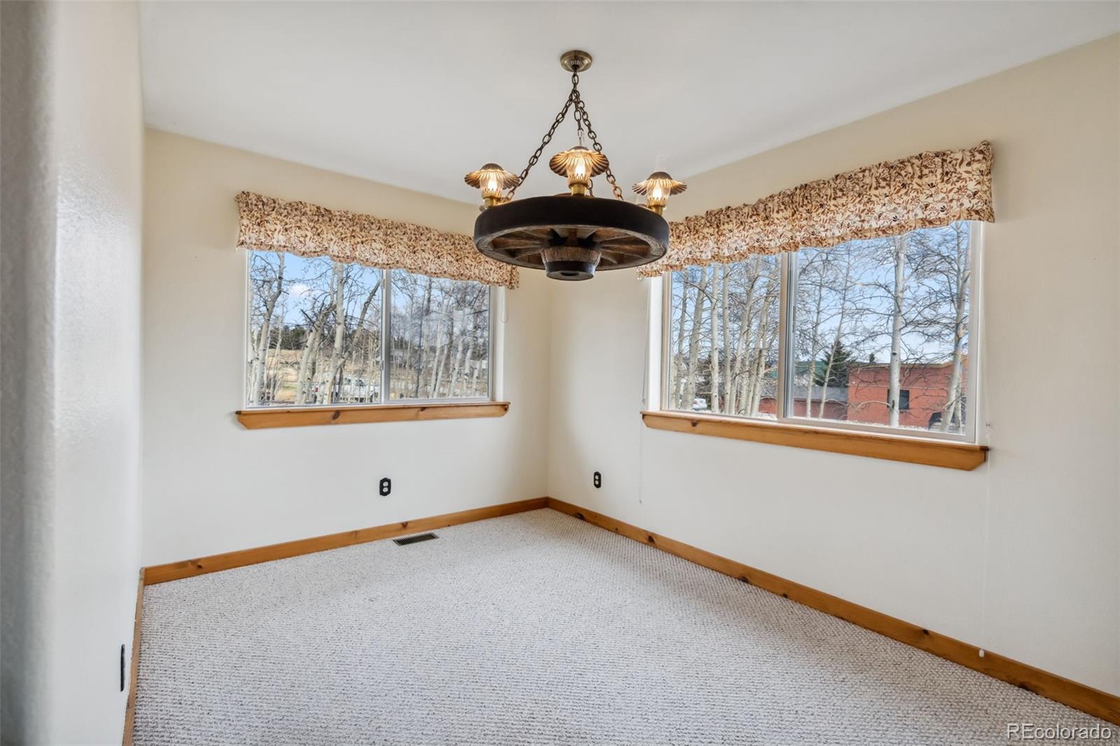 MLS Image #5 for 316  3rd ,fairplay, Colorado