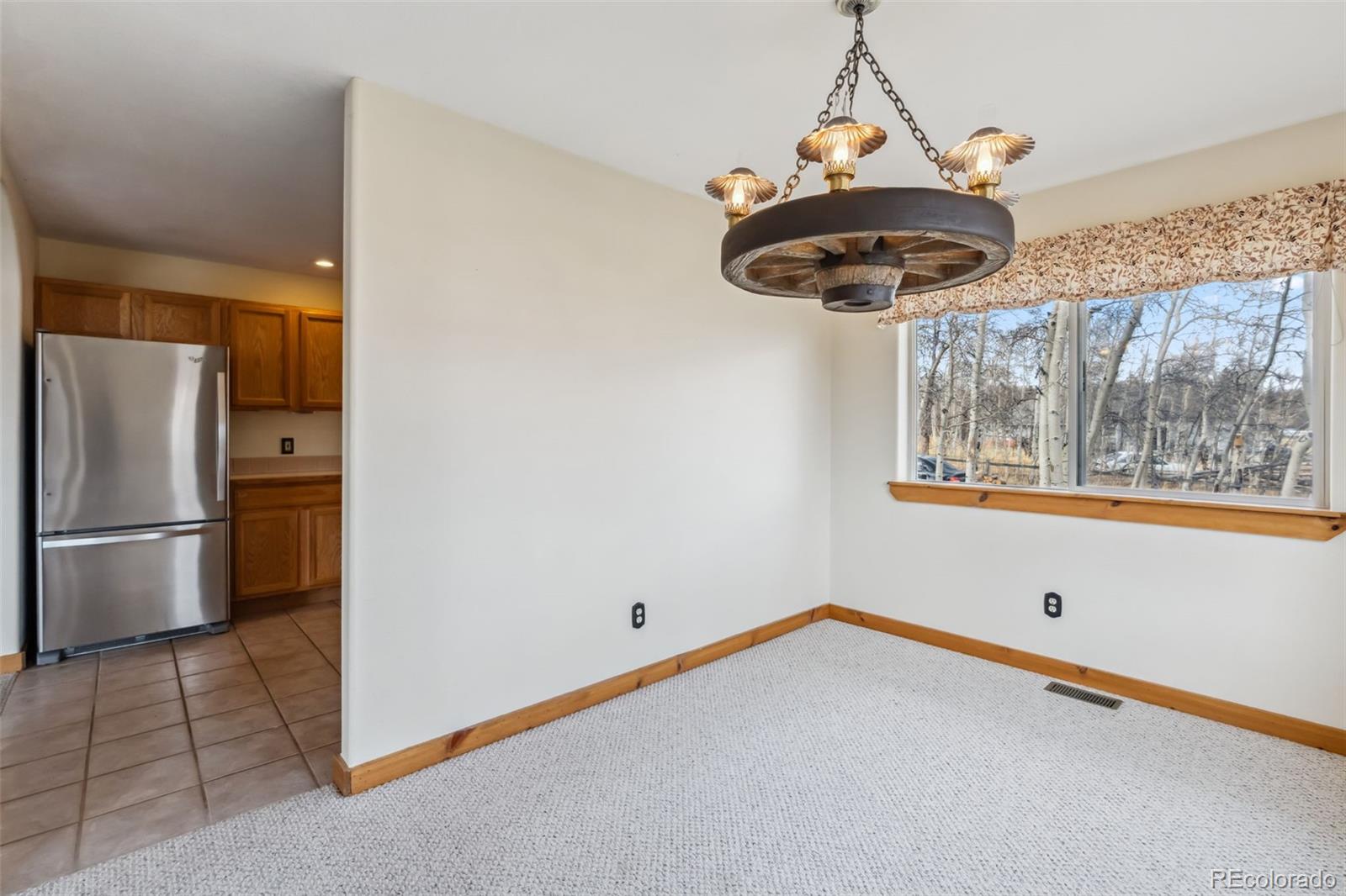 MLS Image #6 for 316  3rd ,fairplay, Colorado