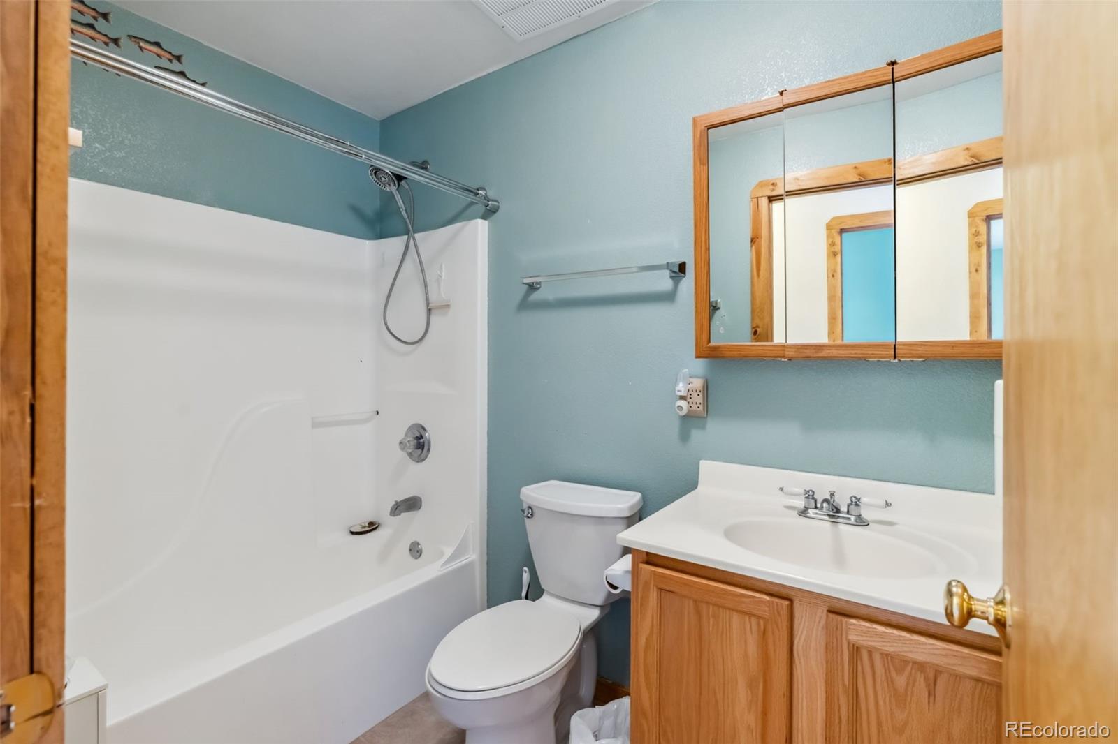 MLS Image #8 for 316  3rd ,fairplay, Colorado