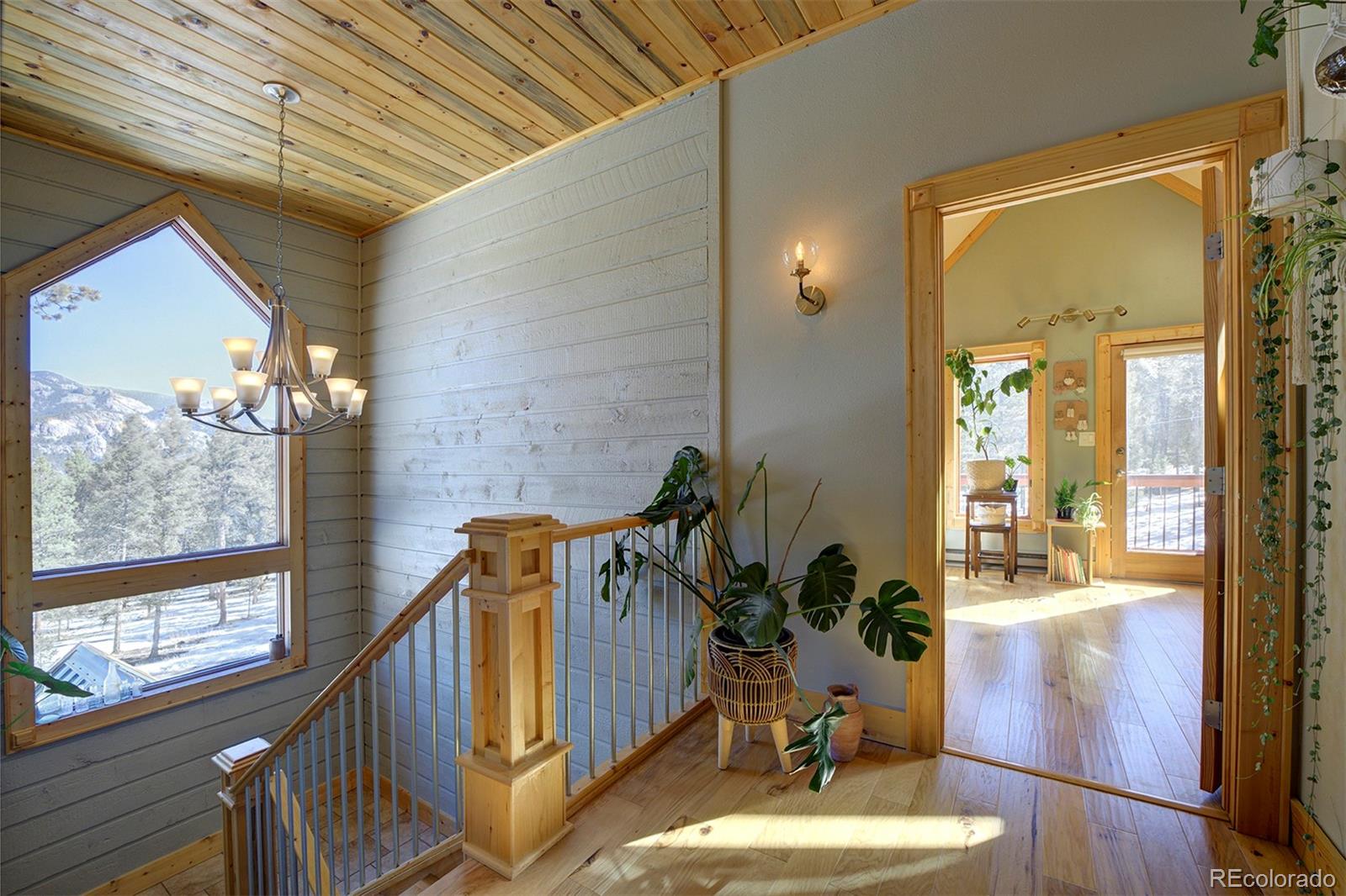 MLS Image #18 for 306  spring drive,pine, Colorado