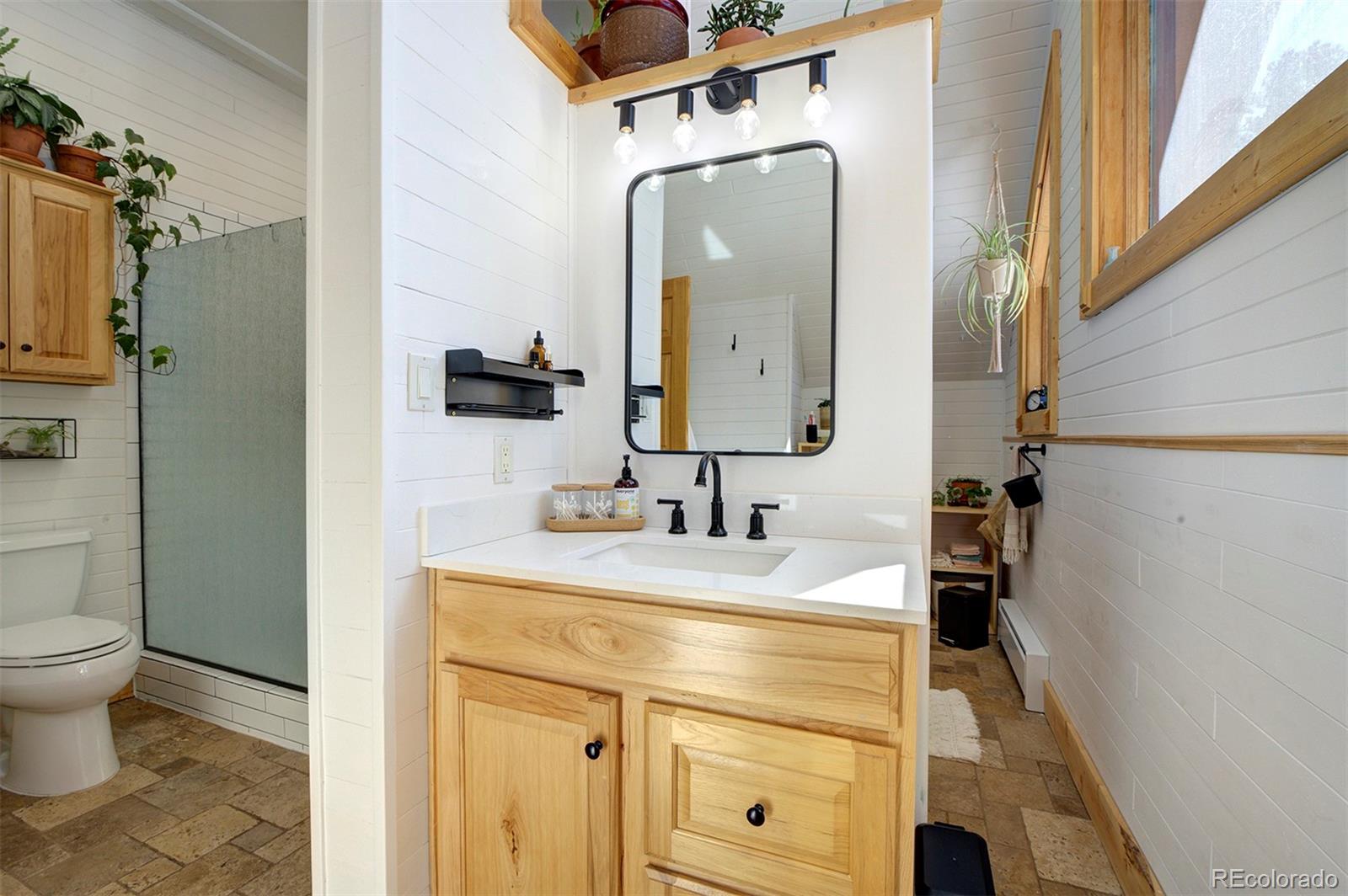 MLS Image #20 for 306  spring drive,pine, Colorado