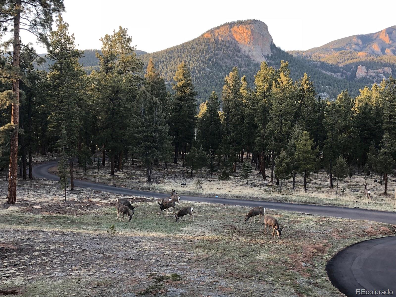 MLS Image #49 for 306  spring drive,pine, Colorado