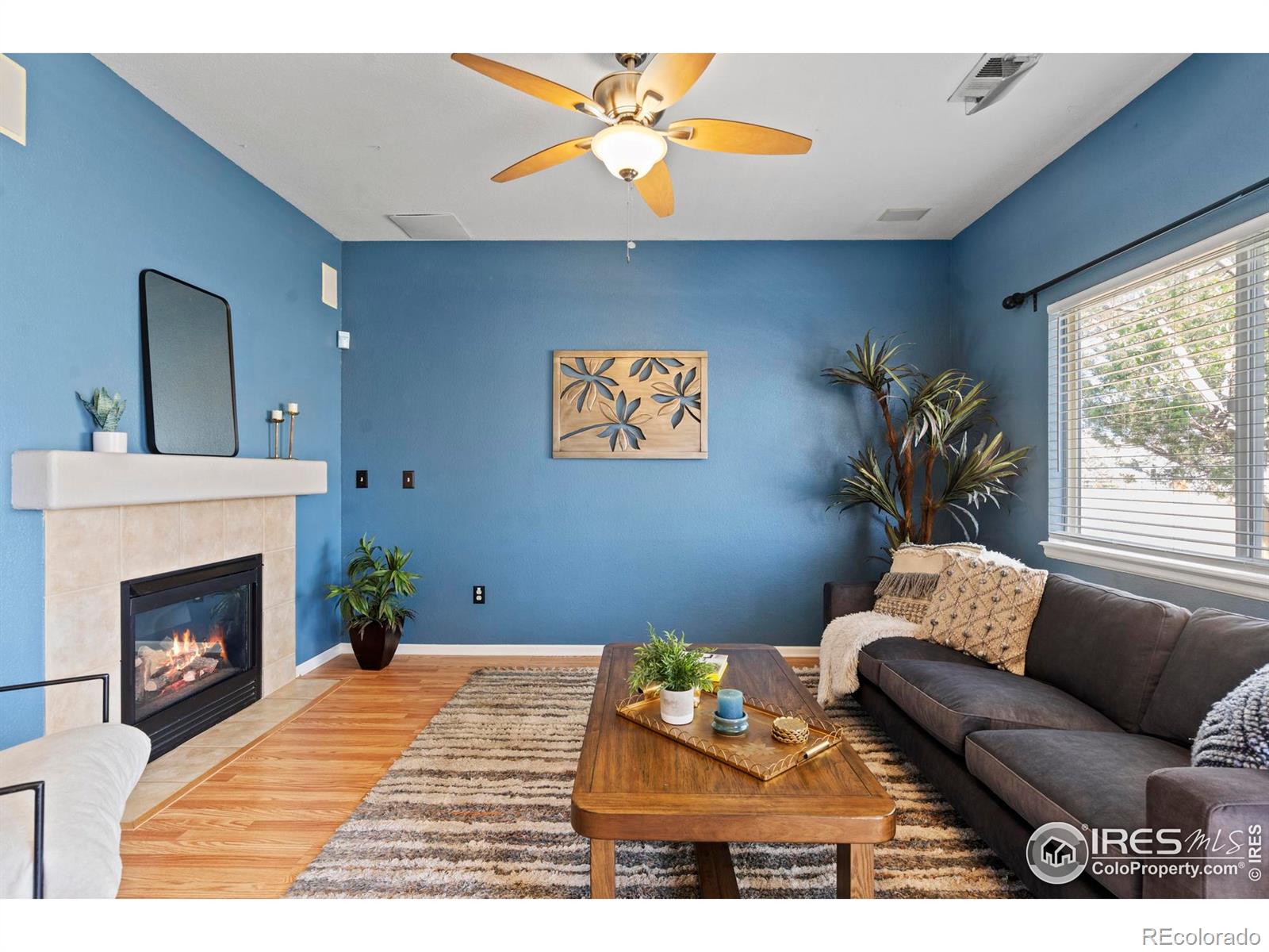 MLS Image #17 for 1020  fenwick drive,fort collins, Colorado