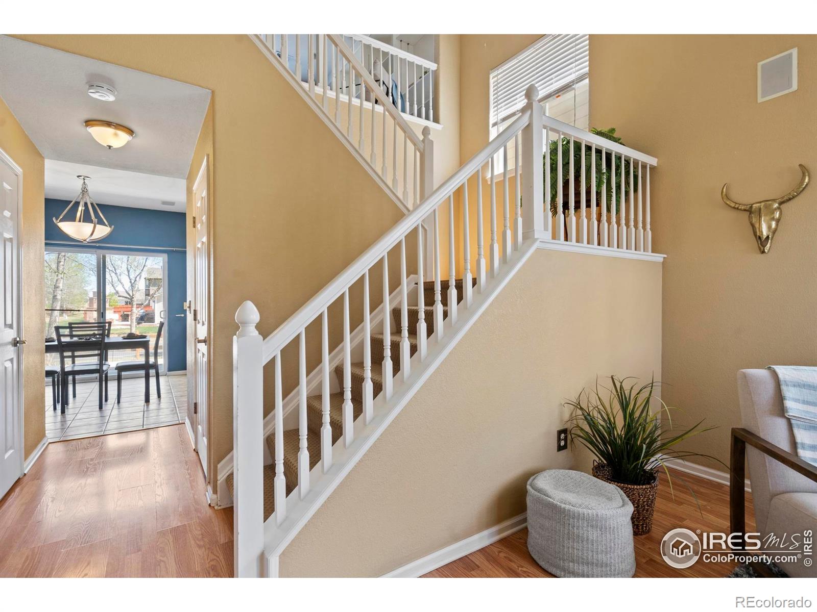 MLS Image #19 for 1020  fenwick drive,fort collins, Colorado