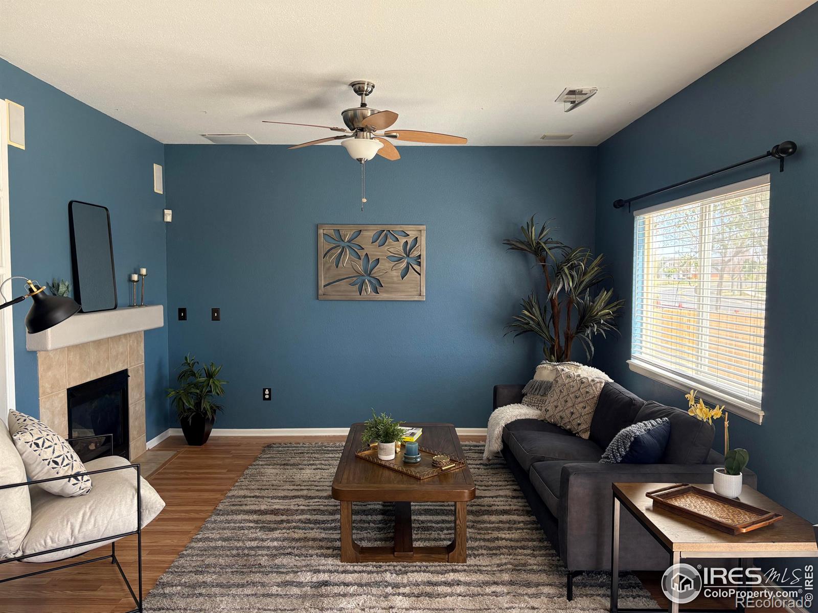 MLS Image #5 for 1020  fenwick drive,fort collins, Colorado