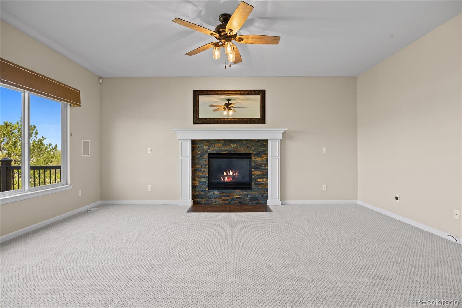 MLS Image #21 for 20670  bridlewood lane,parker, Colorado