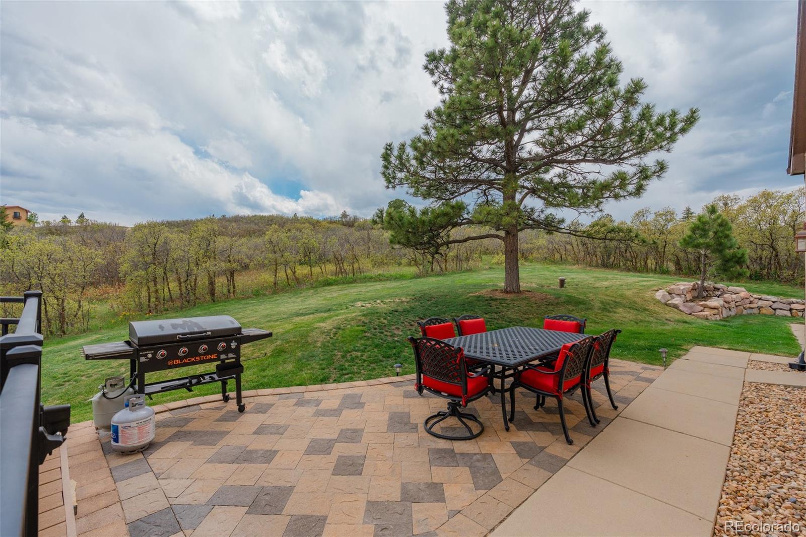 MLS Image #42 for 1091  colt circle,castle rock, Colorado