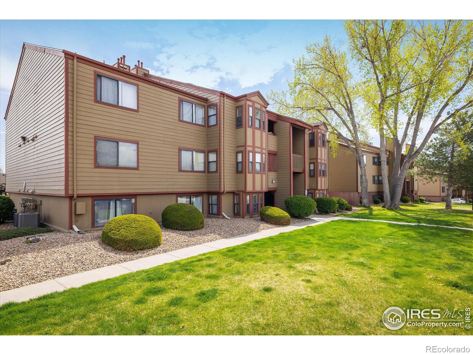 MLS Image #19 for 8770  corona street,denver, Colorado