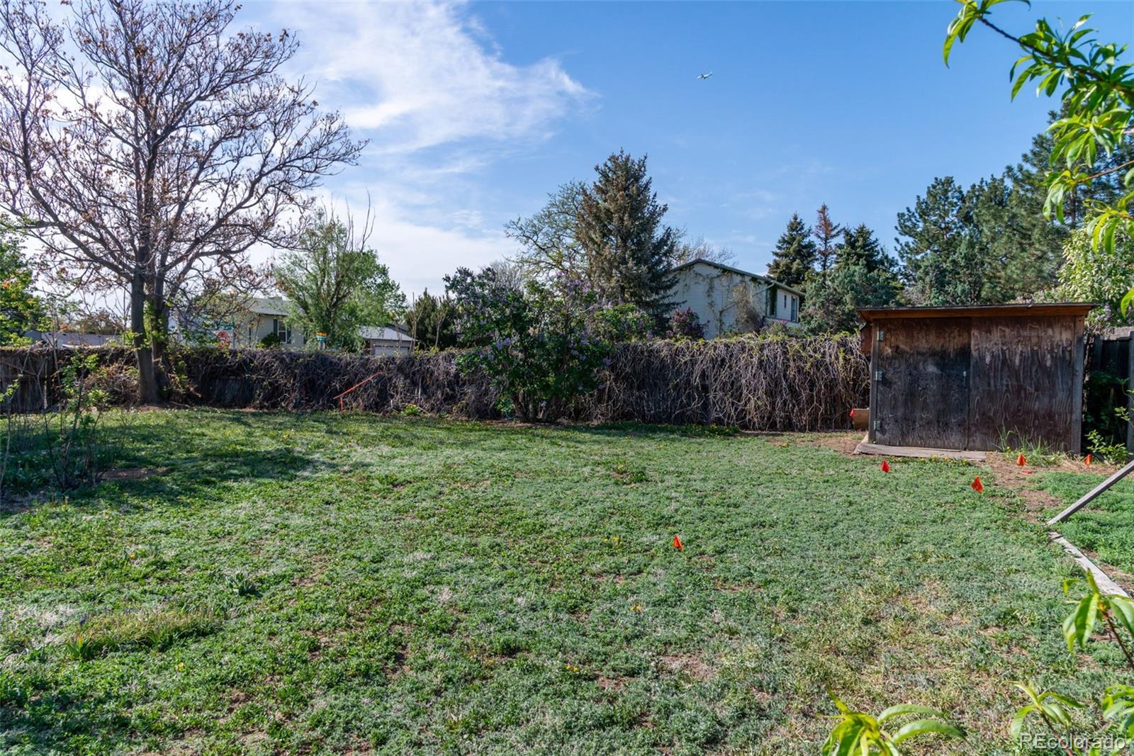 MLS Image #6 for 11098  fairfax way,thornton, Colorado