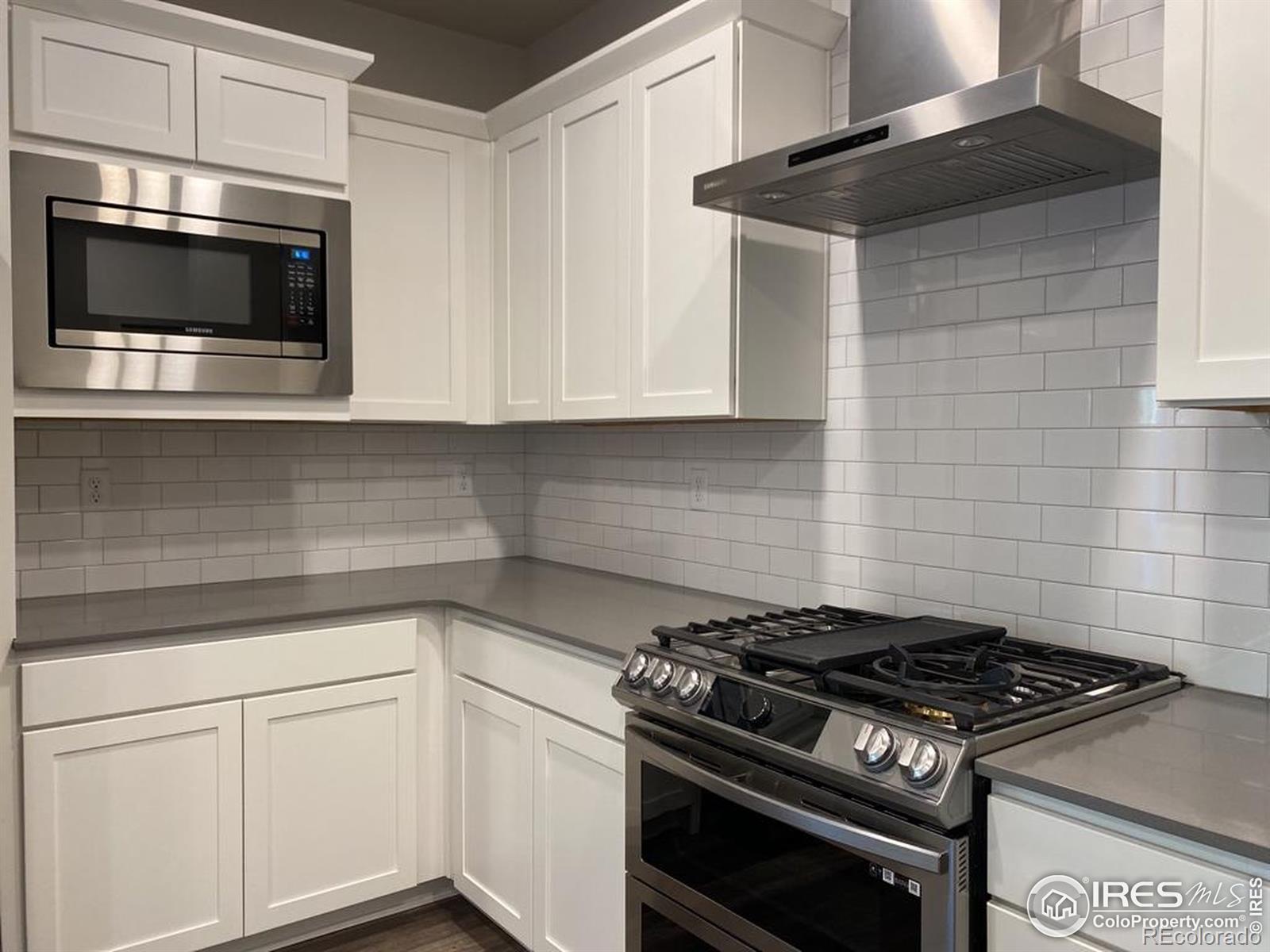 MLS Image #6 for 2938  barnstormer street,fort collins, Colorado