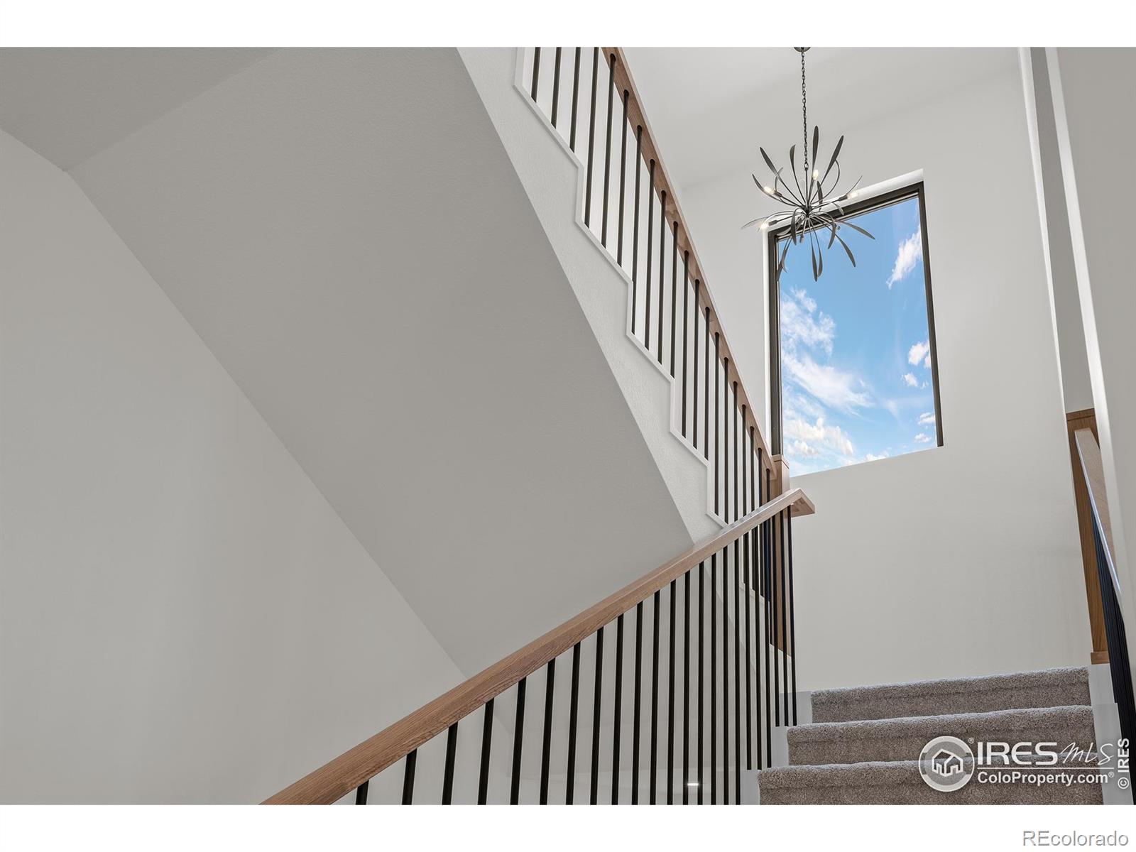 MLS Image #29 for 933  saint andrews lane,louisville, Colorado