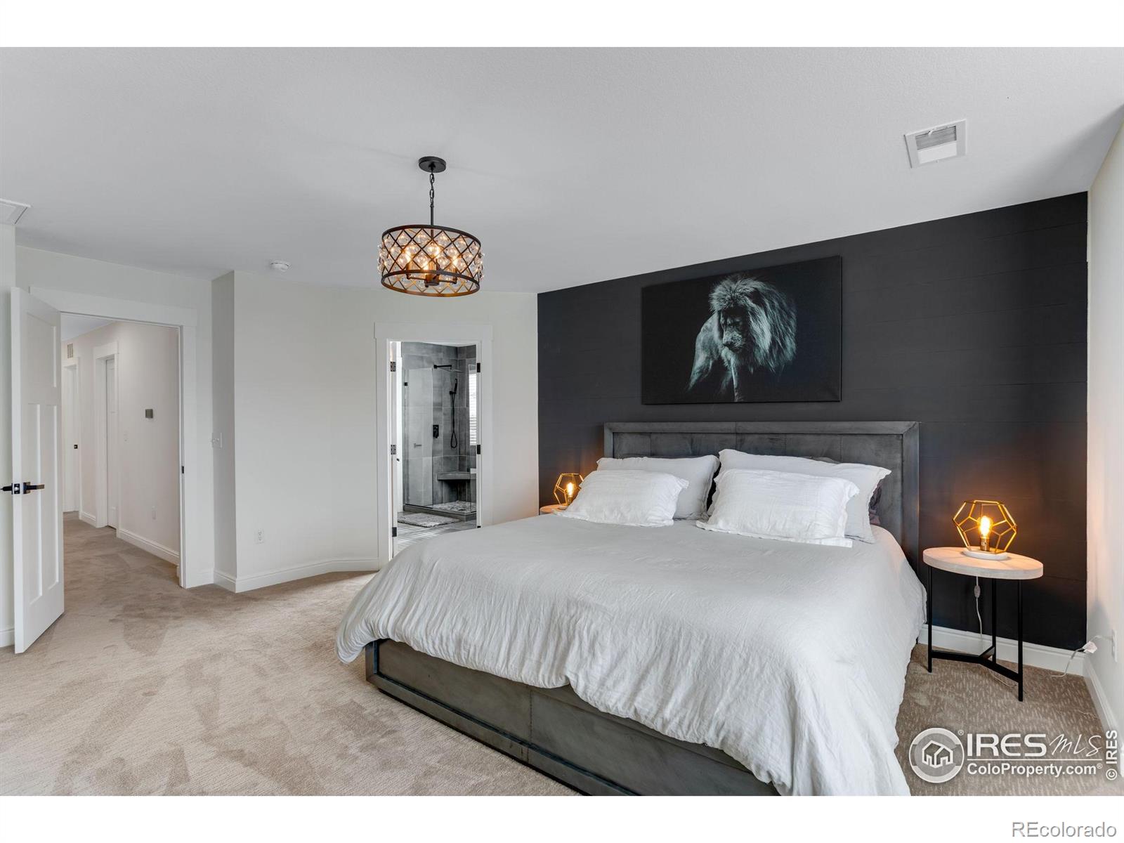 MLS Image #20 for 6772  flintlock road,timnath, Colorado