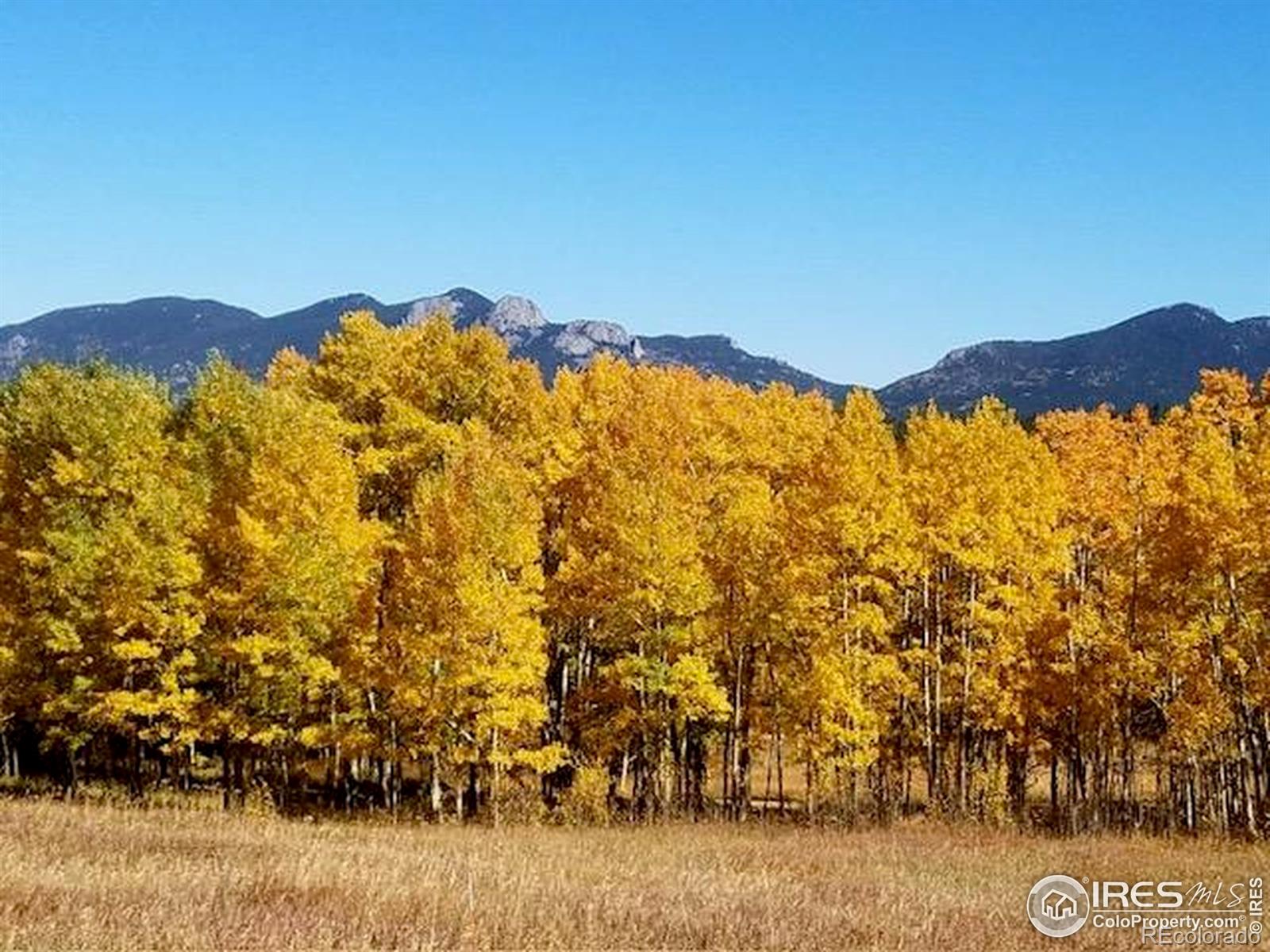 MLS Image #24 for 2915  lump gulch road,black hawk, Colorado