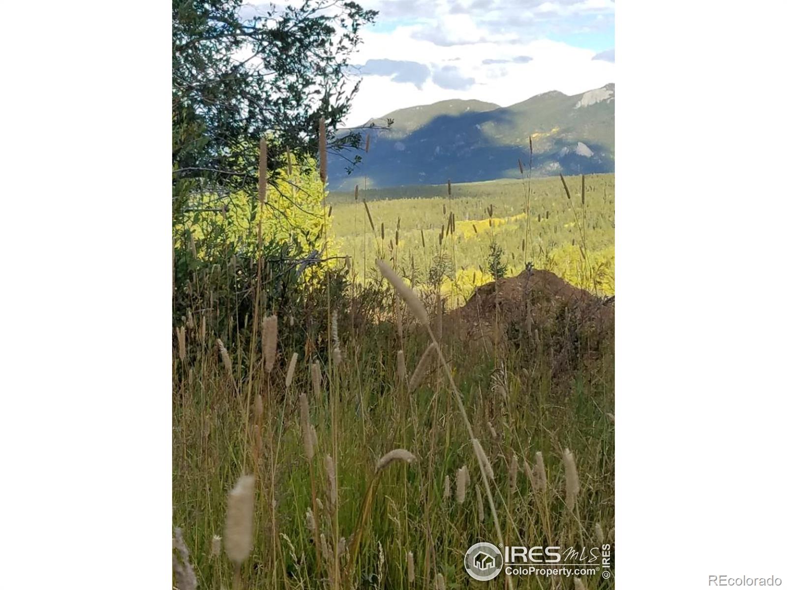 MLS Image #28 for 2915  lump gulch road,black hawk, Colorado