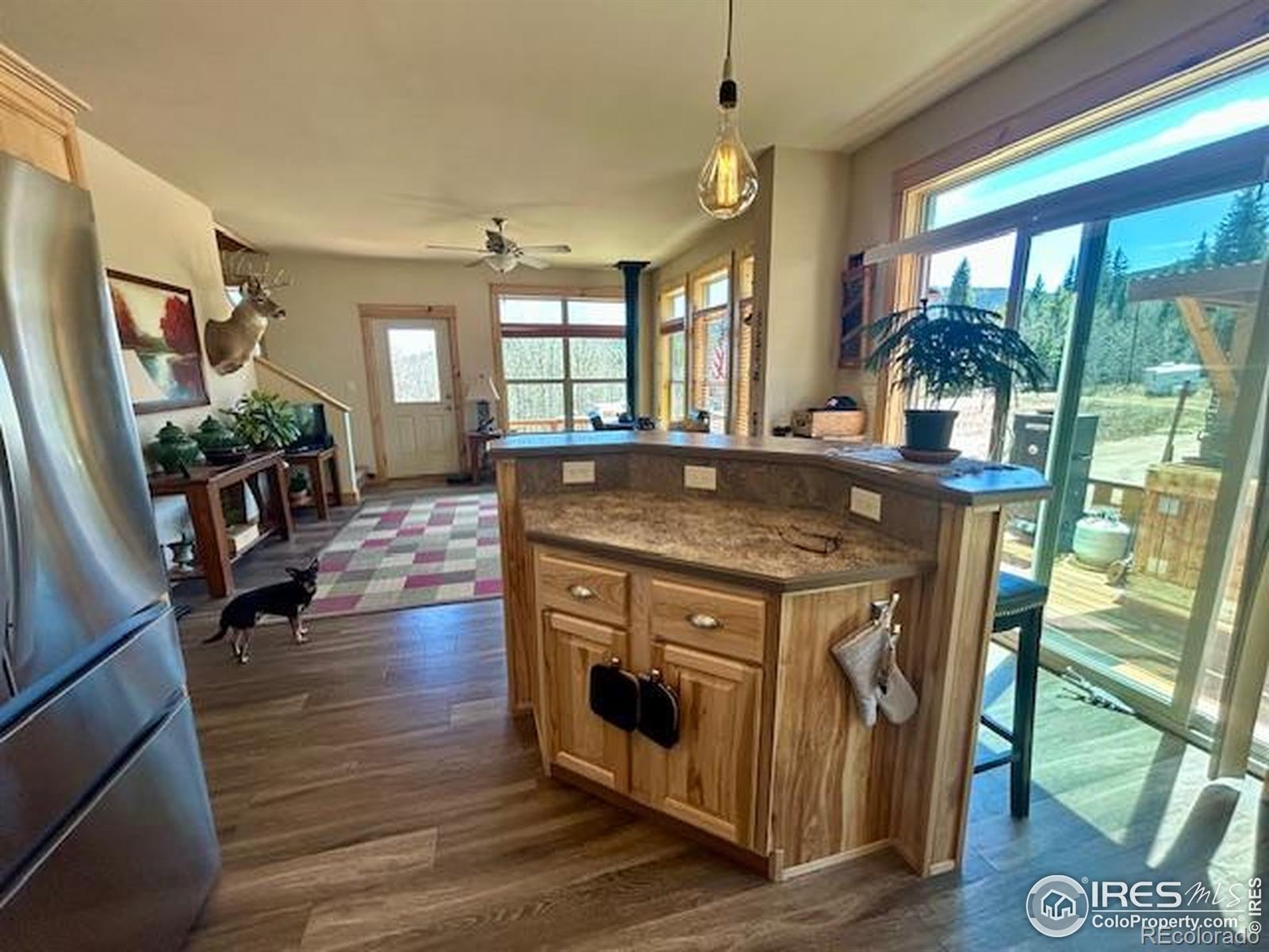 MLS Image #4 for 2915  lump gulch road,black hawk, Colorado