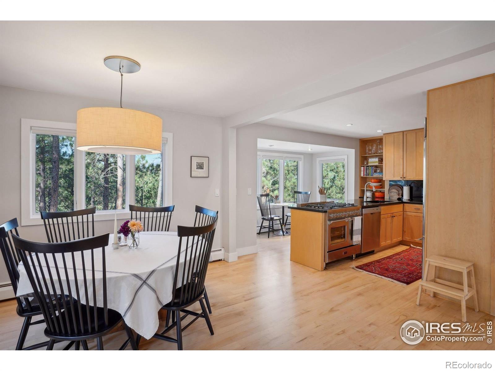 MLS Image #6 for 65  bristlecone way,boulder, Colorado