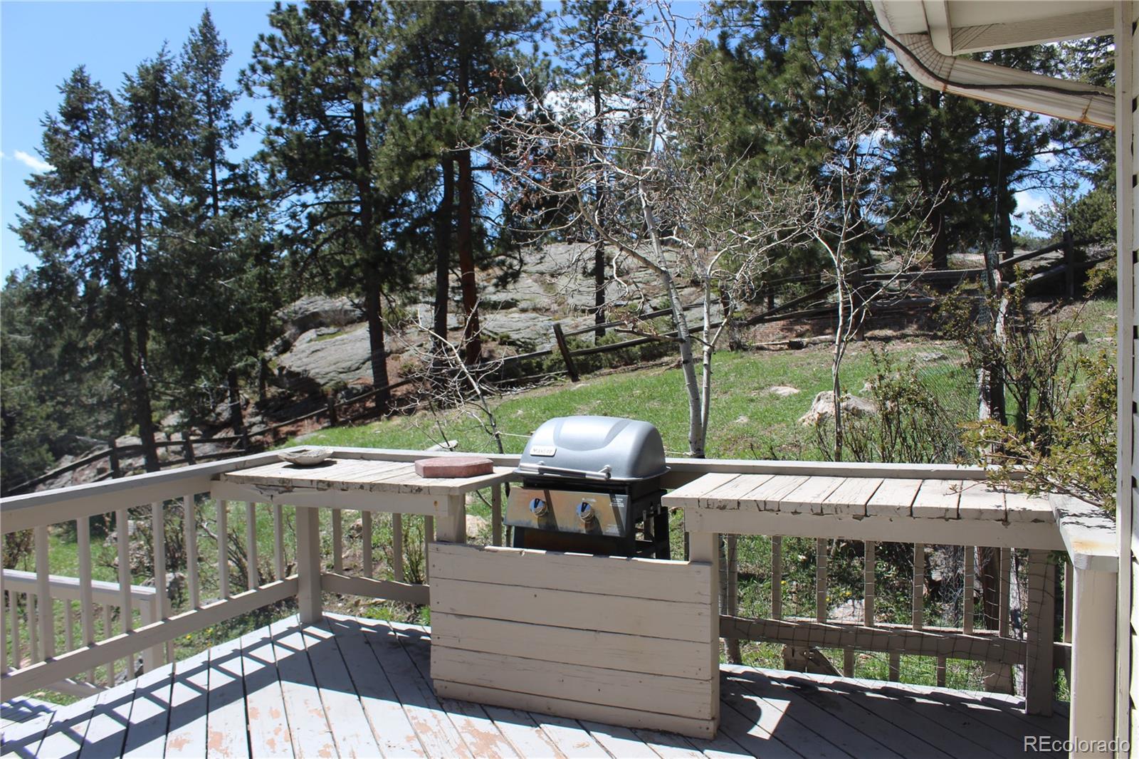 MLS Image #11 for 28650  cavan lane,evergreen, Colorado