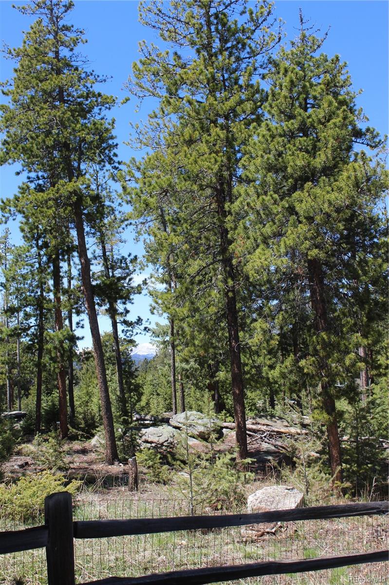 MLS Image #14 for 28650  cavan lane,evergreen, Colorado
