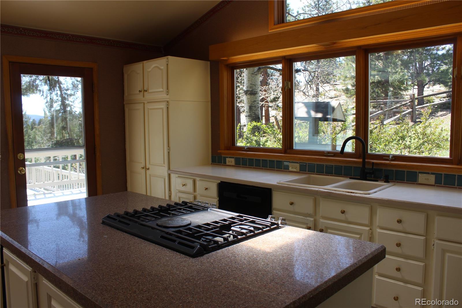 MLS Image #30 for 28650  cavan lane,evergreen, Colorado